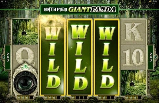 Автомат Untamed Giant Panda - выигрыш на линиях Выигрыш на линиях в автомате Untamed Giant Panda